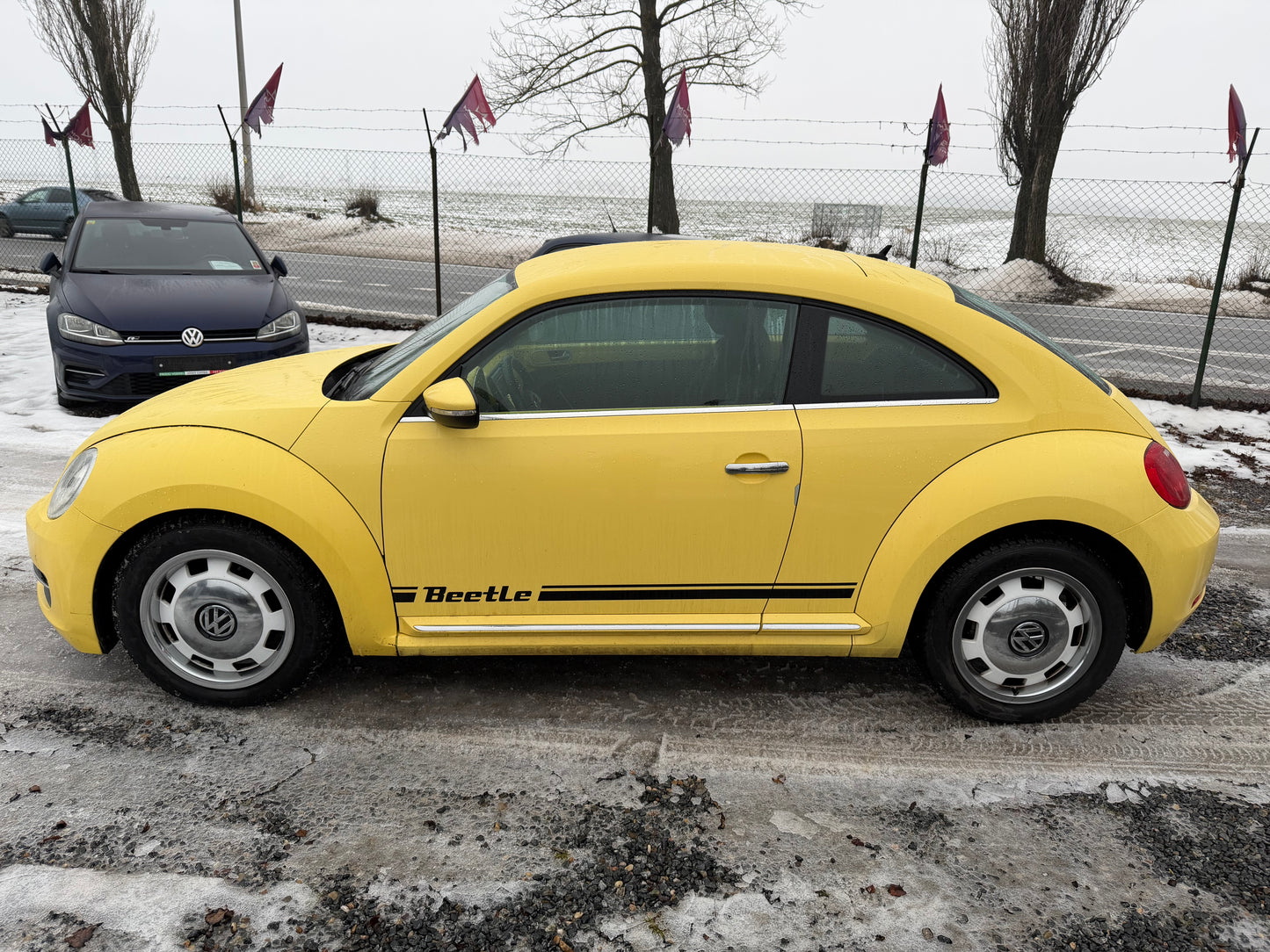Volkswagen Beetle 1.6 TDI Käfer Edition
